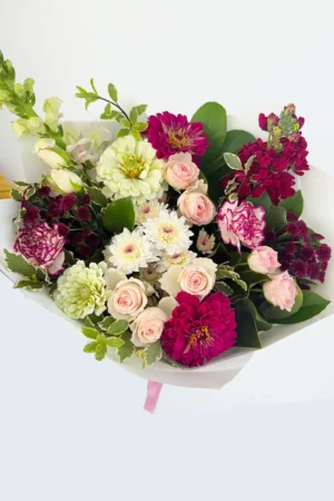 Monay - GC (3rd November)