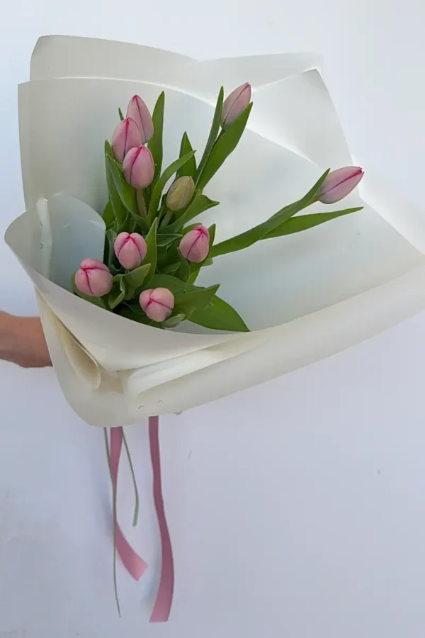 Special: Tulip Market Bunch (BNE + GC)