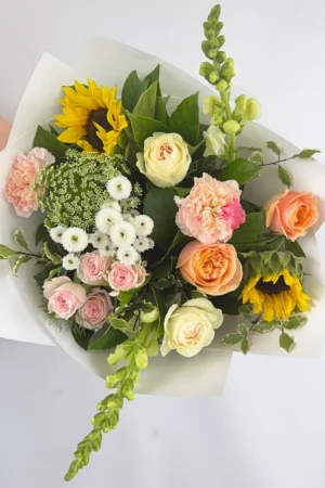 Wednesday - GC (5th November)